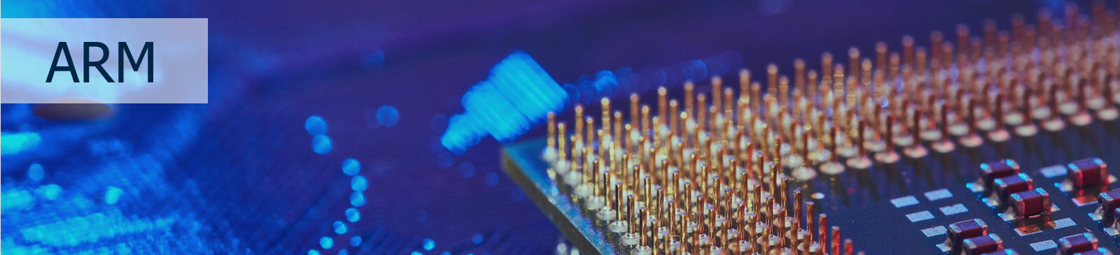Les puces ARM IPO (Initial Public Offering) ou offre publique initiale..